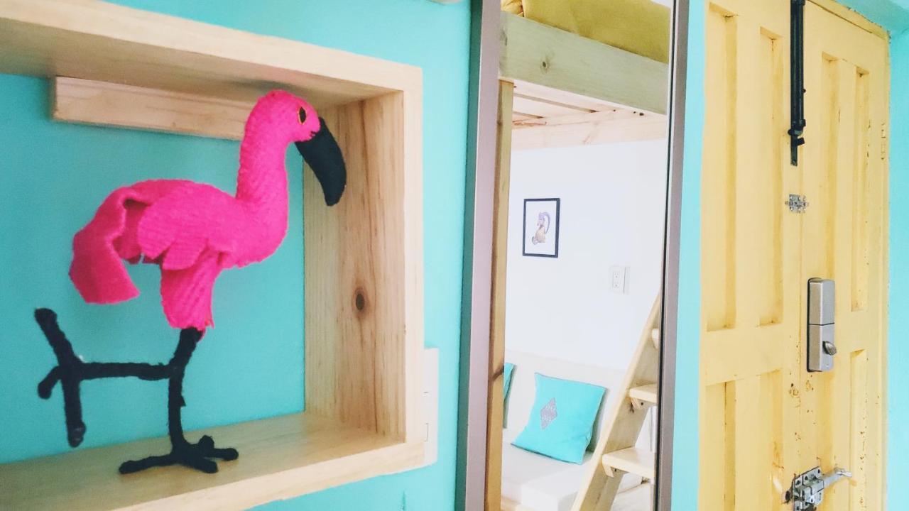 Apartmán Kukul'Ik Tapancos San Cristóbal de Las Casas Exteriér fotografie