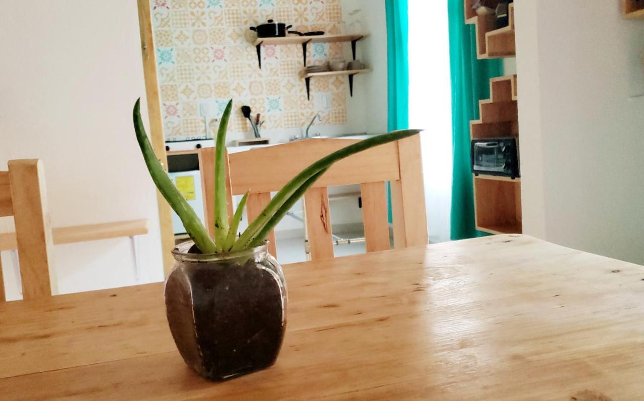 Apartmán Kukul'Ik Tapancos San Cristóbal de Las Casas Exteriér fotografie